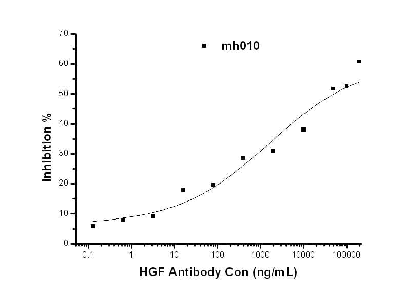 HGF / Hepatocyte Growth Factor Antibody (clone mh010, Preservative Free)