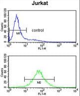 CCR3 Antibody (aa291-318)