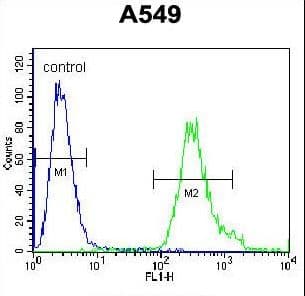 SOWAHD / ANKRD58 Antibody (aa196-224)