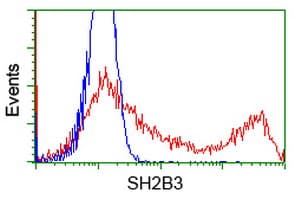 SH2B3 / LNK Antibody (clone OTI1F6)