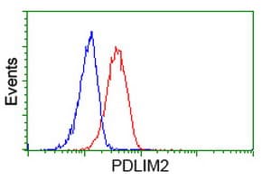 PDLIM2 / SLIM Antibody (clone OTI12A5, Carrier-free)