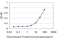 Monoclonal Mouse anti-Human IDI1 / IPP1 Antibody (clone 6G10, WB)