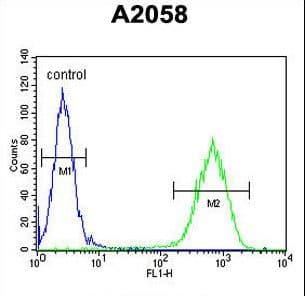Polyclonal Rabbit anti-Human ERMARD Antibody (aa346-375, IHC, WB)