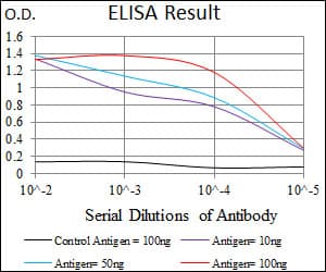 Monoclonal Mouse anti-Human DCTN4 / Dynactin 4 Antibody (clone 3G9D7, aa57-298, IHC, IF, WB)