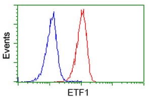 ETF1 / ERF1 Antibody (clone OTI2E3)