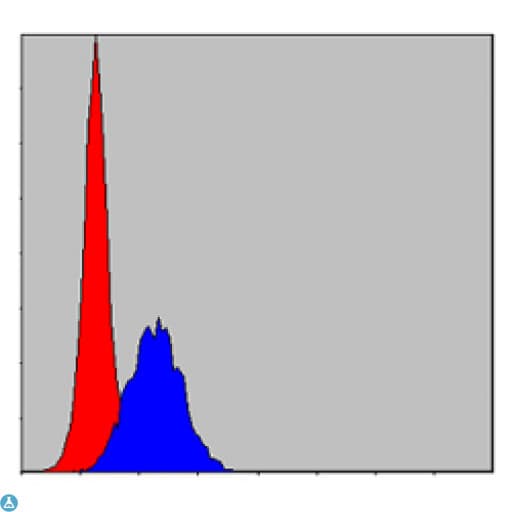 c-CBL Antibody