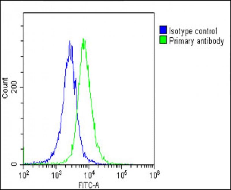 CKS2 Antibody (N-Terminus)
