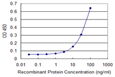 RING1 Antibody (clone 2B3)