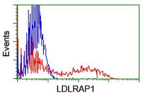 ARH / LDLRAP1 Antibody (clone OTI3H10)