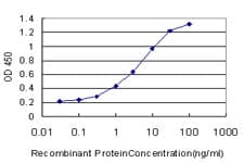 Monoclonal Mouse anti-Human RNF6 Antibody (clone 3B1, IF, WB)
