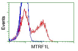 Monoclonal Mouse anti-Human HMRF1L / MTRF1L Antibody (clone OTI1H7, IHC, IF, WB)