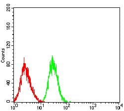 IHC-plus™ LILRB2 / ILT4 Antibody (clone 2G7E11)
