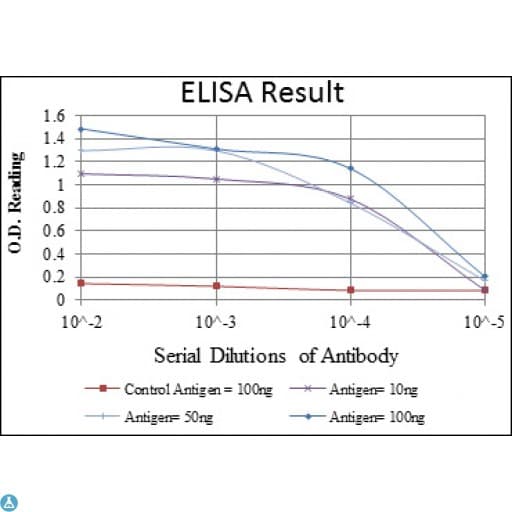 PSIP1 / LEDGF Antibody