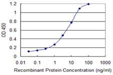 SEC13 Antibody (clone 1G7)