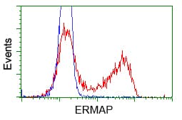 ERMAP / SC Antibody (clone OTIC8)