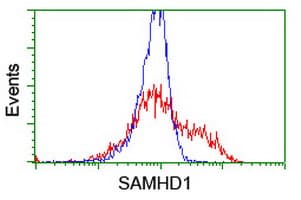 SAMHD1 Antibody (clone OTI1A1, Carrier-free)
