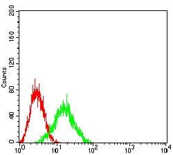 IL10RB Antibody (clone 5B3F2)
