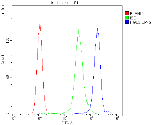 Polyclonal Rabbit anti-Human ITGB2 / CD18 Antibody (aa404-769, IHC, WB)