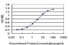 Monoclonal Mouse anti-Human FGFR1 / FGF Receptor 1 Antibody (clone 5E9, WB)