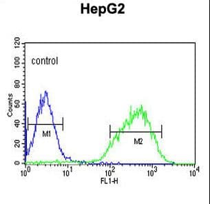 HIST1H2AL Antibody (aa103-130)