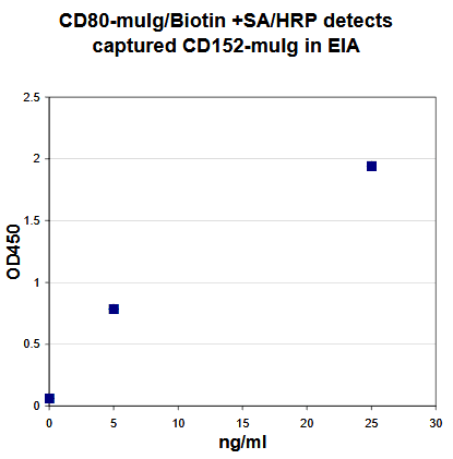 Human CD80 Protein (Recombinant)