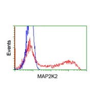 MAP2K2 / MKK2 / MEK2 Antibody (clone OTI5F6)