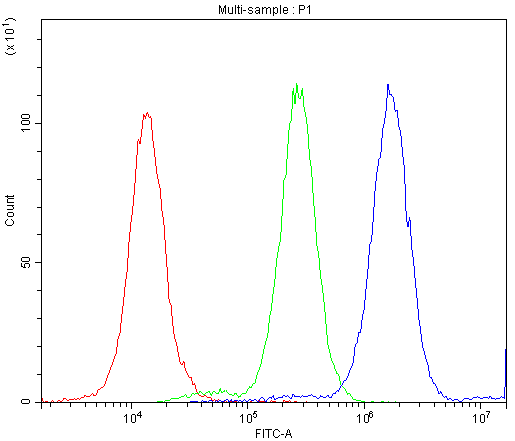 ATXN3 / JOS Antibody (aa226-254)
