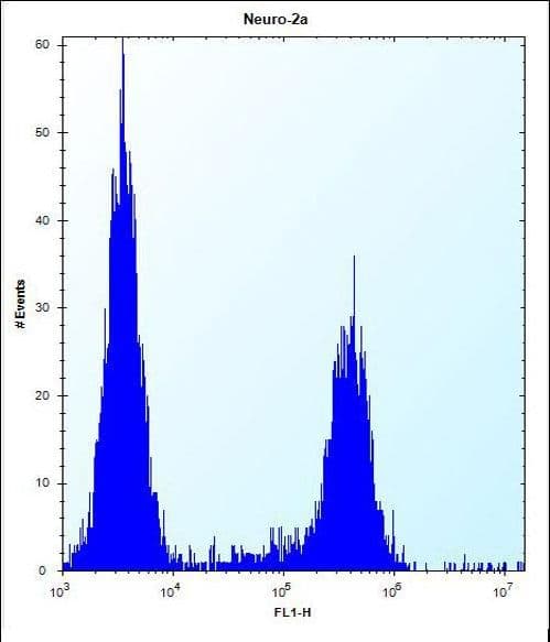 RRP36 Antibody (aa230-259)