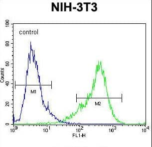 Polyclonal Rabbit anti-Human TLDC1 / KIAA1609 Antibody (aa426-456, IHC, WB)