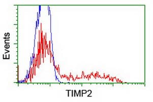 TIMP2 Antibody (clone OTI1D7, Carrier-free)