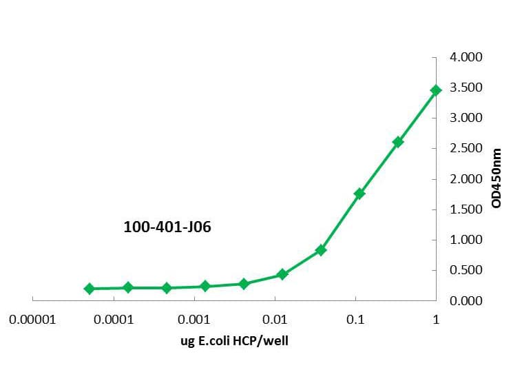 E. coli LMW Proteins Antibody