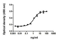 Mouse BAFF / TNFSF13B Protein (Recombinant)