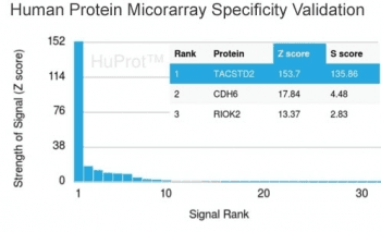 Monoclonal Mouse anti-Human TROP2 / TACSTD2 Antibody (clone TACSTD2/2151, Azide-free,BSA-free, IHC, WB)