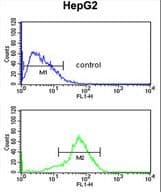 RSAD1 Antibody (aa299-328)