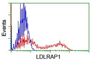 ARH / LDLRAP1 Antibody (clone OTI1F3, Carrier-free)