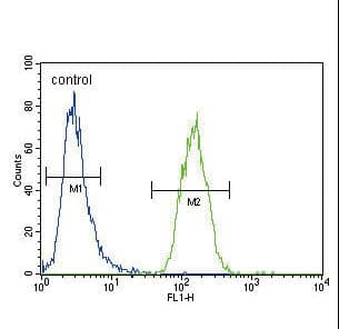 XDH / Xanthine Oxidase Antibody (aa206-234)