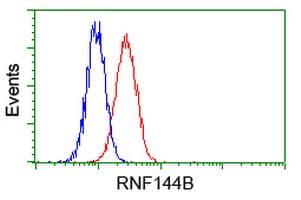 RNF144B Antibody (clone OTI12B6)