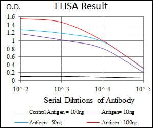C/EBP Alpha / CEBPA Antibody (clone 4E10)