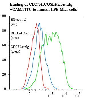 Human CD275 / B7-H2 / ICOS Ligand Protein (Recombinant)