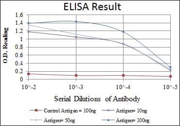 IHC-plus™ HSP90AB1 / HSP90 Alpha B1 Antibody (aa149-357, clone 1D9)