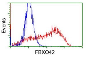 FBXO42 / JFK Antibody (aa356-717, clone OTI1G6, Carrier-free)
