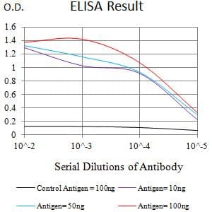 SLAMF6 / NTBA Antibody (clone 2F1B4G9)