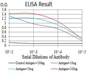 ADAMTS1 Antibody (clone 1G5D5)