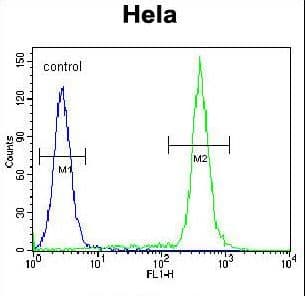 TBX6 Antibody (aa143-172)