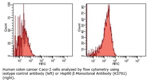 HSP90 / Heat Shock Protein 90 Antibody (clone K3701)