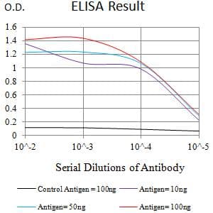 Monoclonal Mouse anti-Human FCRL5 / CD307 Antibody (clone 2A10D6, WB)