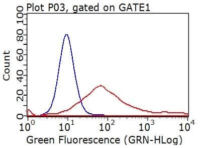 CTLA4 / CD152 Antibody (clone OTI3A5)