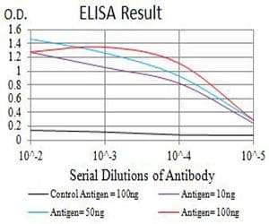 GRIN2A / NMDAR2A / NR2A Antibody (clone 3G10F9)
