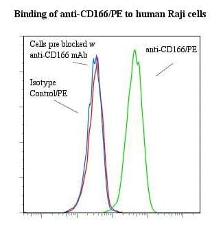 ALCAM / CD166 Antibody (clone 3A6, RPE)