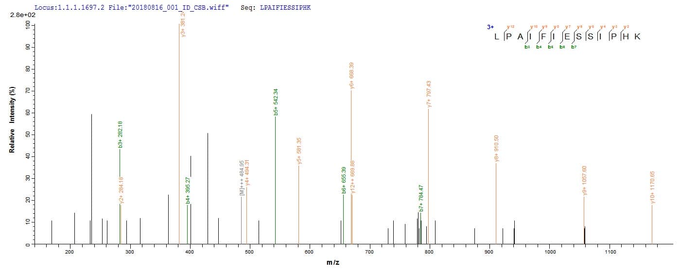 Treponema pallidum troA Protein (Recombinant 10His, N-terminus + Myc, C-terminus)